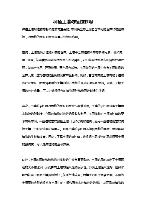 种植土壤对植物影响