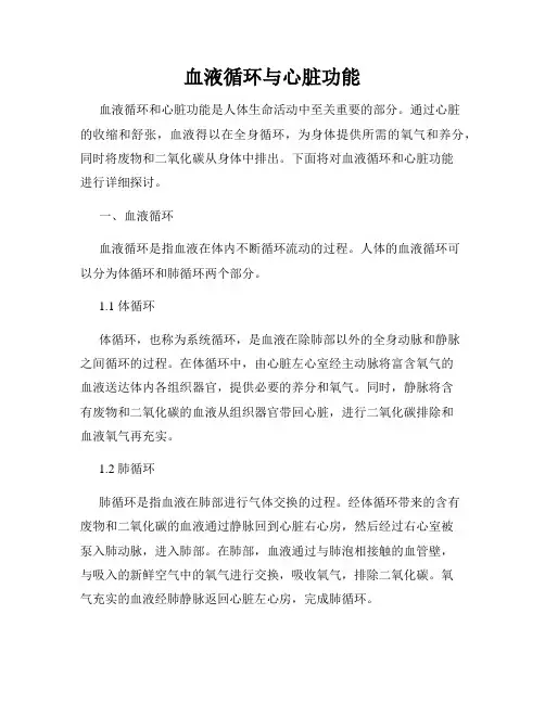 血液循环与心脏功能