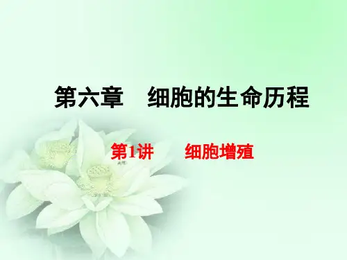 细胞的增殖(高中一轮复习)(课堂PPT)