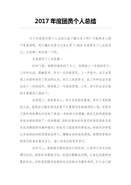 2017年度团员个人总结