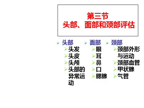 头颈部评估PPT课件