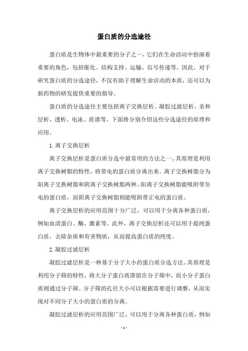 蛋白质的分选途径