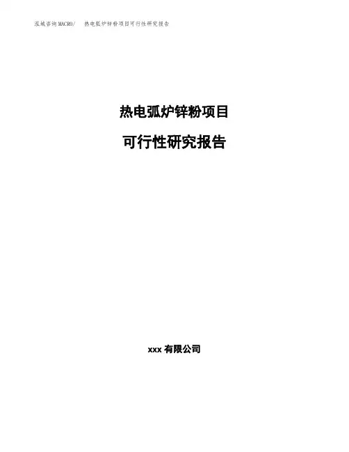 热电弧炉锌粉项目可行性研究报告(参考模板范文)
