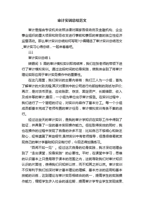 审计实训总结范文
