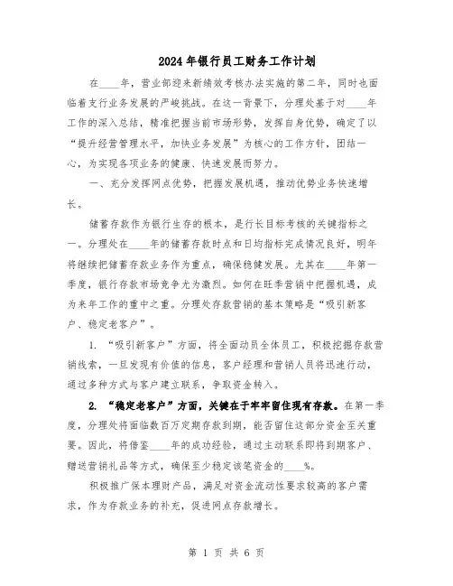 2024年银行员工财务工作计划（四篇）