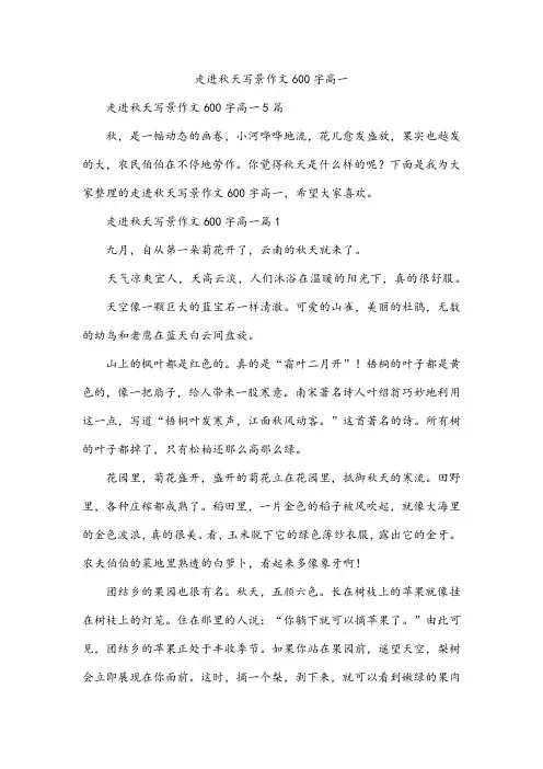 走进秋天写景作文600字高一