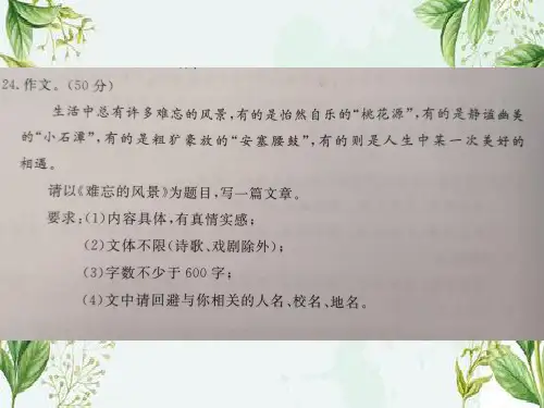 《难忘的风景》作文讲评