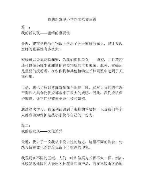 我的新发现小学作文范文三篇