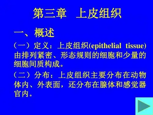 第三章 上皮组织