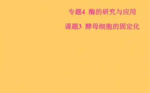 (人教)选修1课件：专题4课题3酵母细胞的固定化(生物)