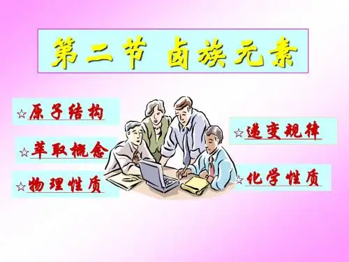【高中化学】卤族元素PPT课件3