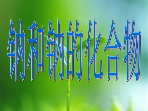 钠及化合物复习PPT教学课件