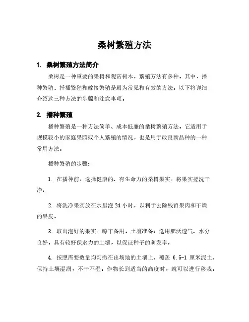 桑树繁殖方法
