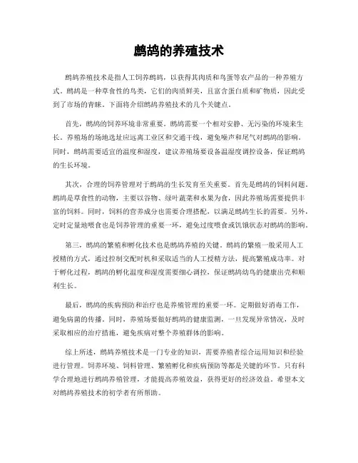 鹧鸪的养殖技术