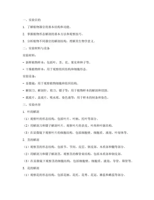 植物形态解剖实验报告