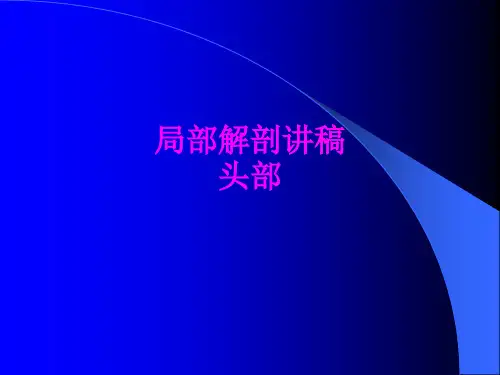医学局部解剖讲稿头部专题课件