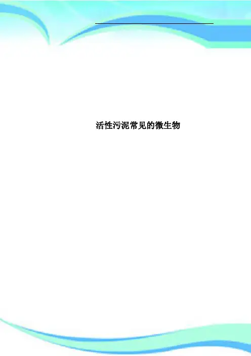 活性污泥常见的微生物