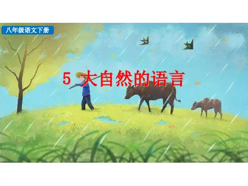 《大自然的语言》ppt课件