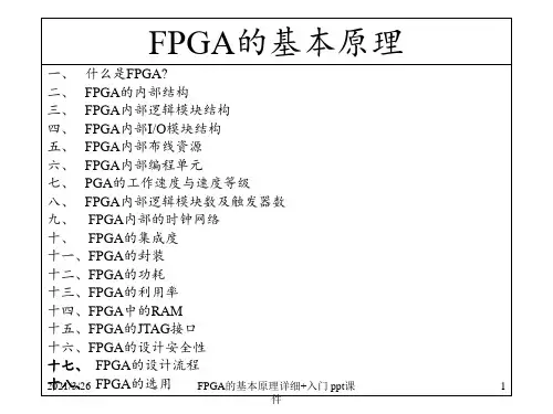 FPGA的基本原理详细+入门 ppt课件