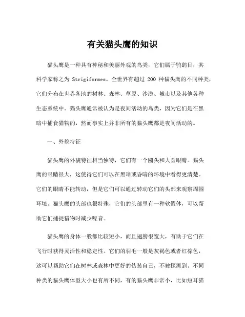 有关猫头鹰的知识