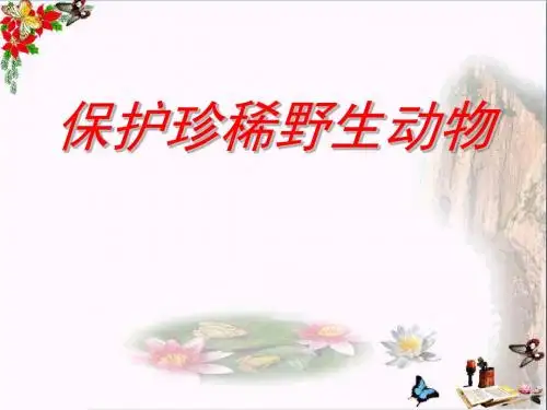 《保护珍稀野生动物》 精品PPT课件(14张)