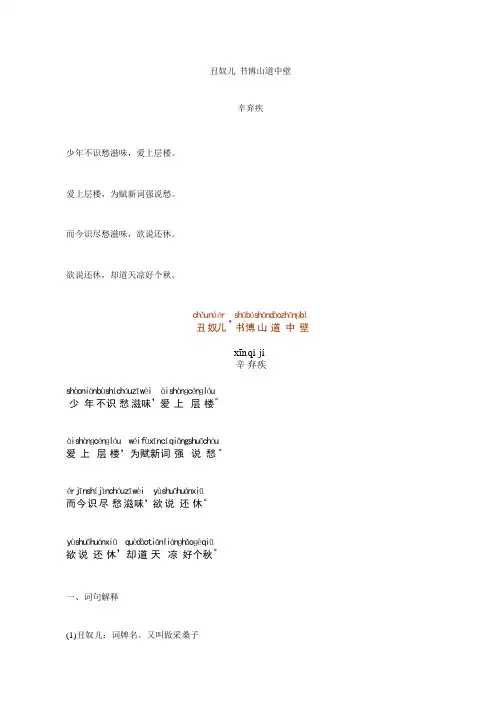 《丑奴儿·书博山道中壁》注音及解释整理