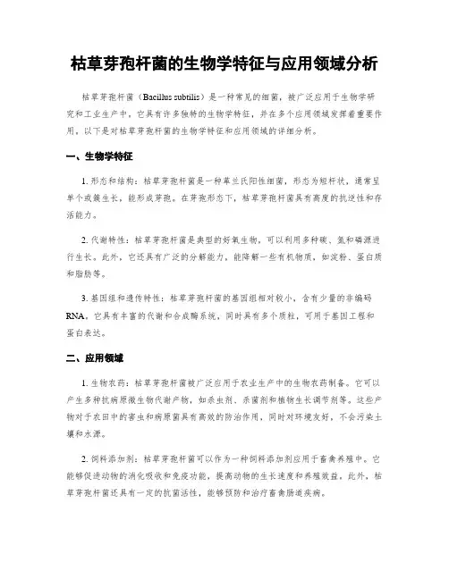 枯草芽孢杆菌的生物学特征与应用领域分析