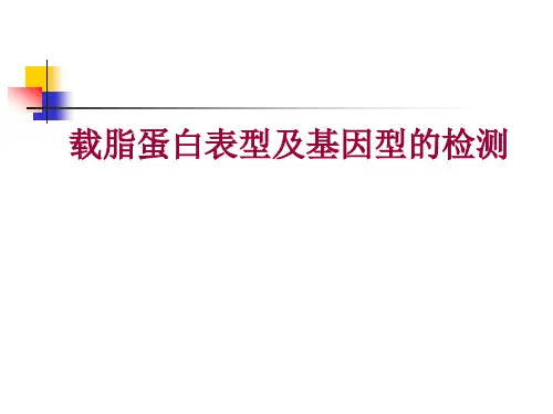载脂蛋白PPT课件