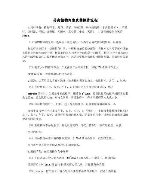 分离植物内生真菌操作流程