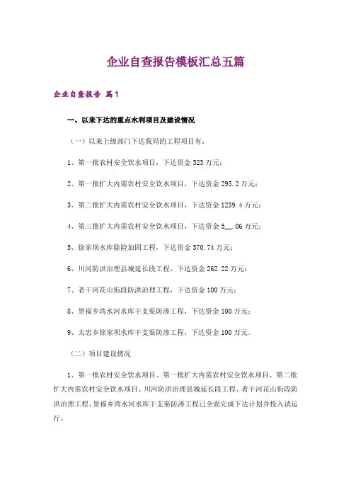 企业自查报告模板汇总五篇