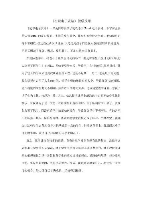《初识电子表格》教学反思