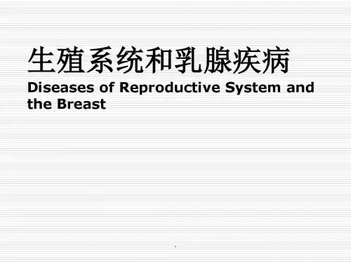 病理学 10 第13章 生殖系统和乳腺疾病PPT课件