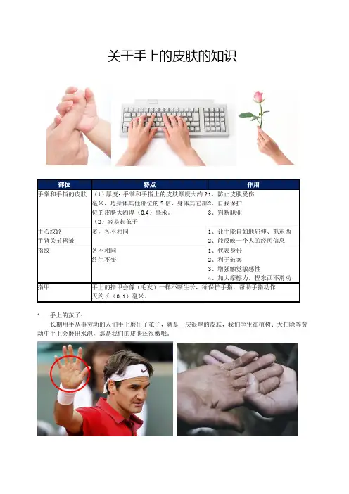 (完整版)关于手上的皮肤的知识