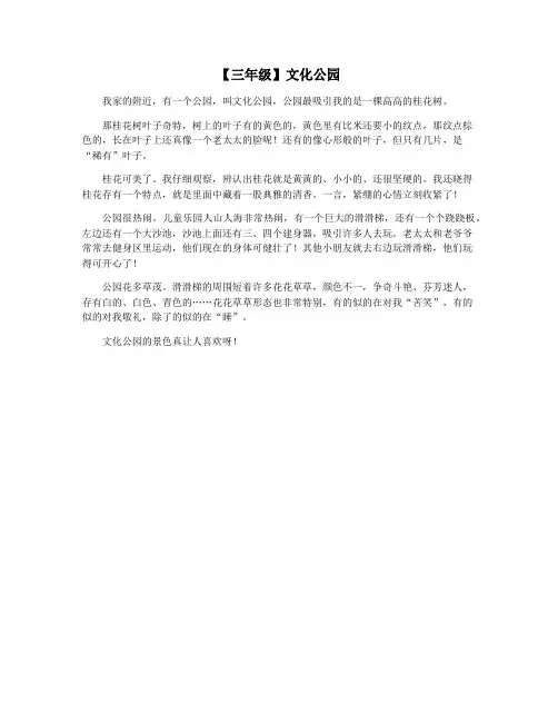【三年级】文化公园