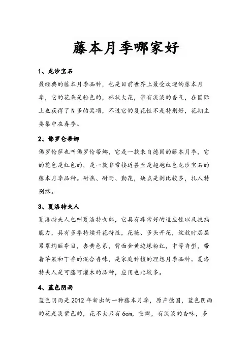 藤本月季哪家好