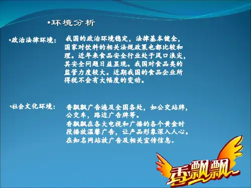 香飘飘 环境分析   广告目标