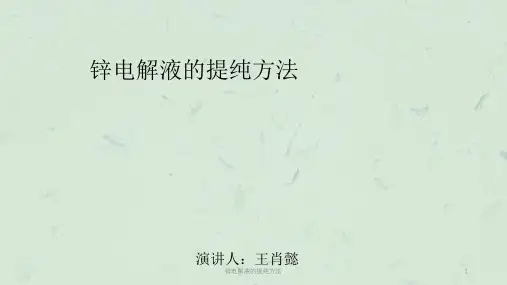 锌电解液的提纯方法课件