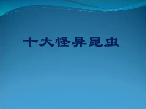 昆虫