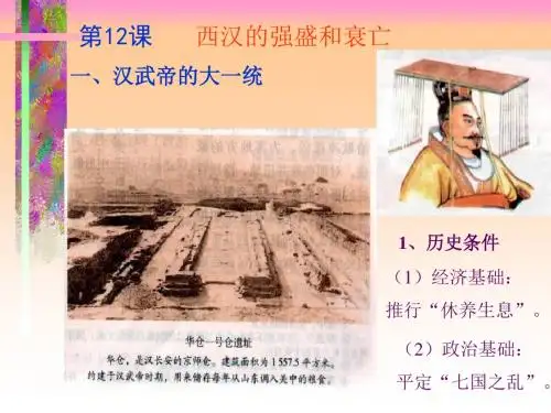 人教版七年级历史   西汉的强盛和衰亡1   6页
