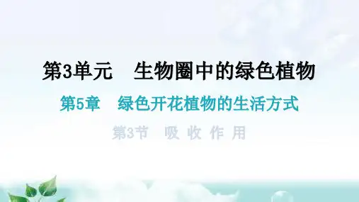 北师大版七年级生物上册第3单元第5章第3节吸收作用知识点课件