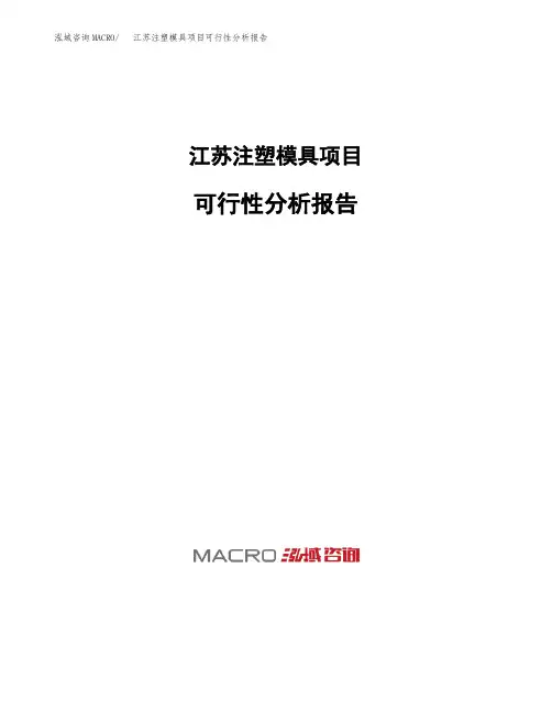 江苏注塑模具项目可行性分析报告