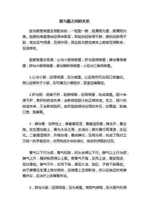 脏与腑之间的关系