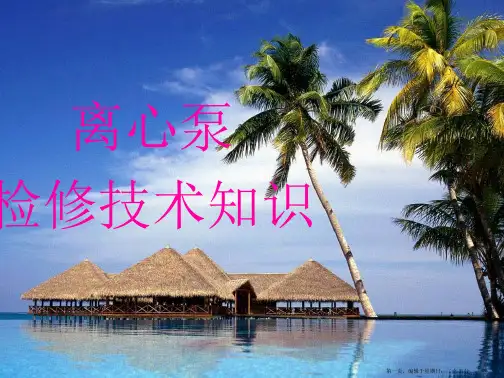 离心泵的检修技术知识