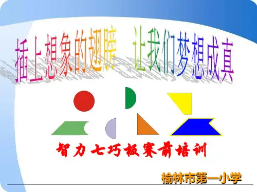 智力七巧板初级到高级培训(小学段)精品PPT课件