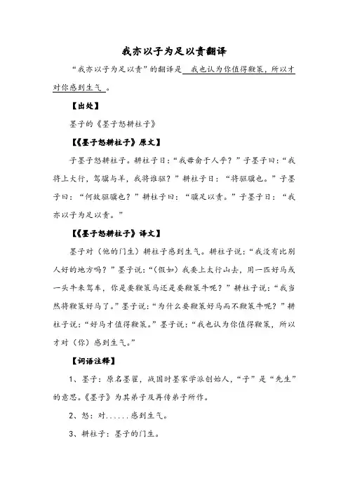 我亦以子为足以责翻译