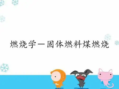 燃烧学-固体燃料煤燃烧