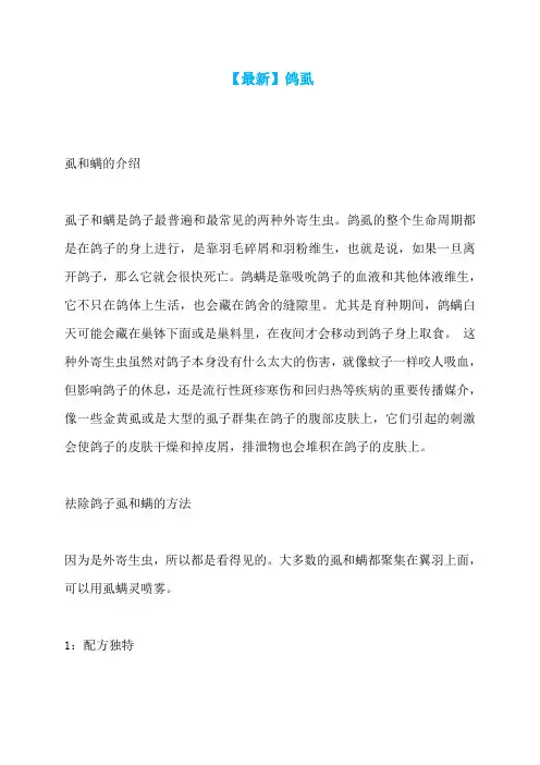 【最新】鸽虱