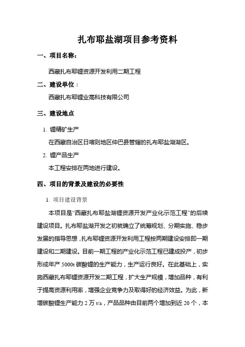 西藏扎布耶盐湖项目资料
