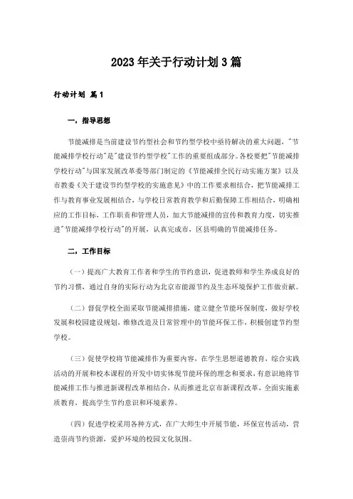2023年关于行动计划3篇