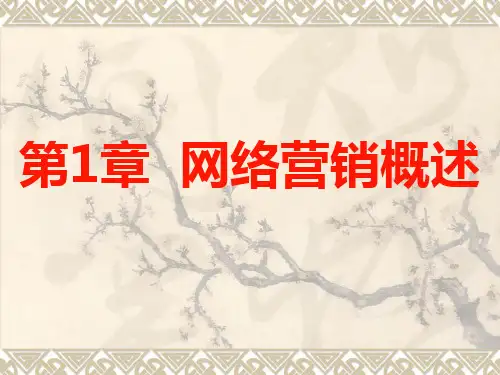 第01章网络营销概述.pptx
